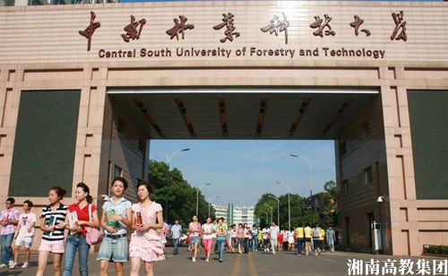 2019中南林业科技大学继续教育学院专业课程